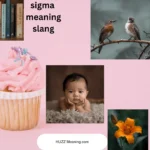 sigma meaning slang