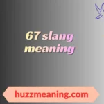 67 slang meaning
