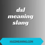 dsl meaning slang