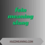 fein meaning slang