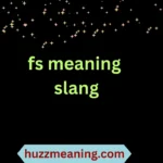 fs meaning slang