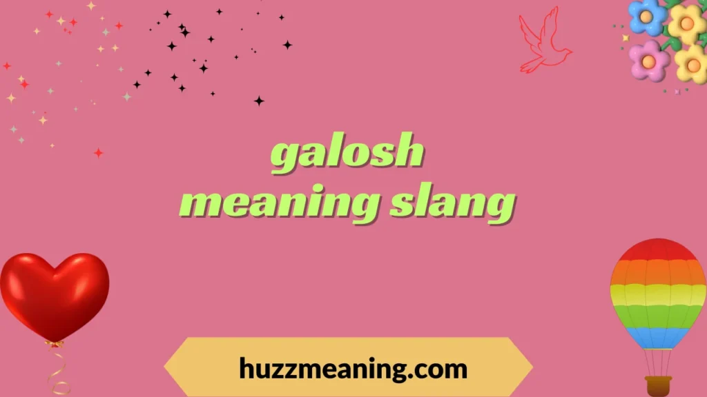 galosh meaning slang