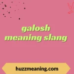 galosh meaning slang