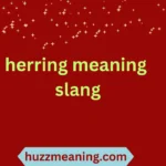 herring meaning slang