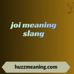 joi meaning slang