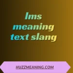 lms meaning text slang