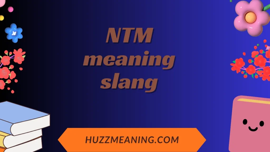 NTM meaning slang