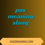pos meaning slang