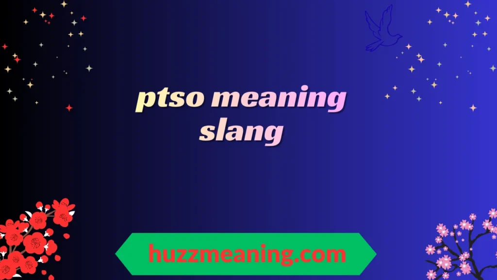ptso meaning slang