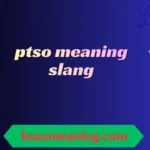 ptso meaning slang