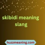 skibidi meaning slang