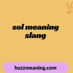 sol meaning slang