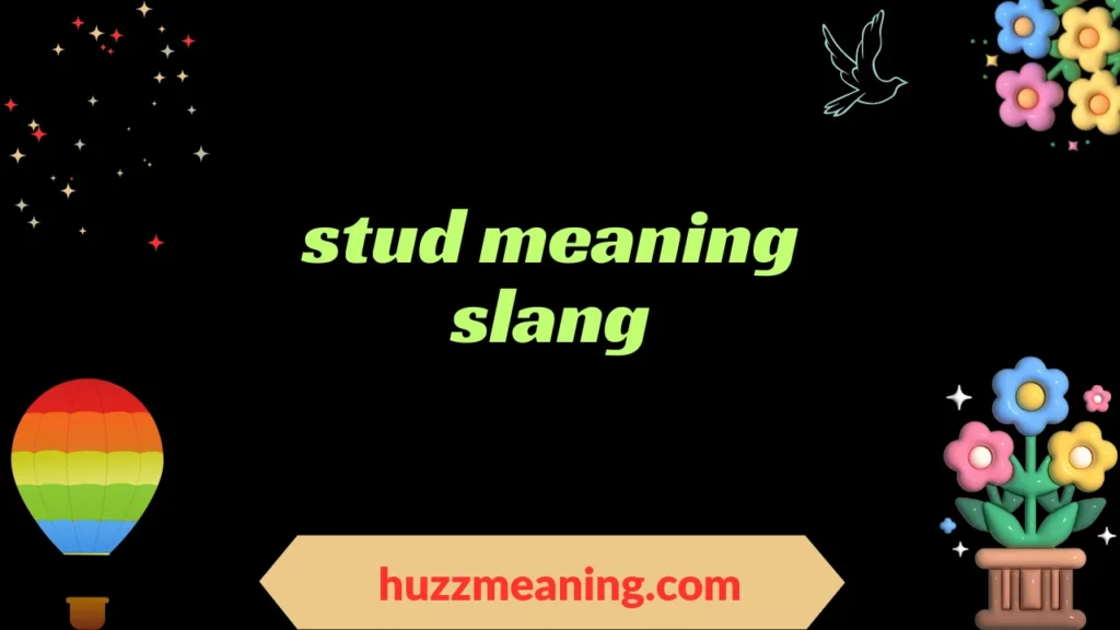 stud meaning slang