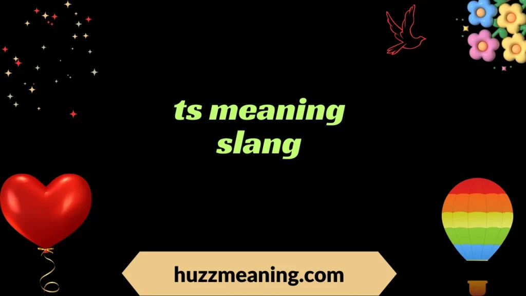 ts meaning slang