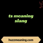 ts meaning slang