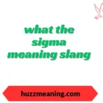 what the sigma meaning slang