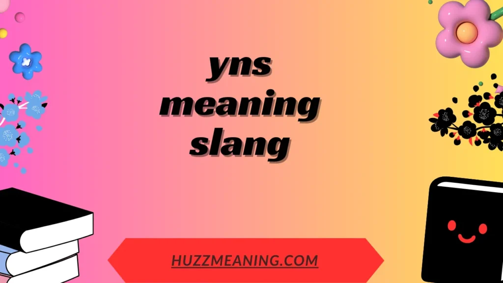 yns meaning slang