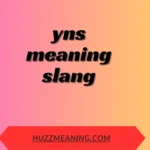 yns meaning slang