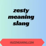 zesty meaning slang