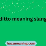 ditto meaning slang