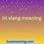 lit slang meaning