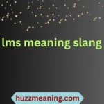 lms meaning slang