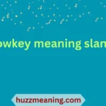 lowkey meaning slang