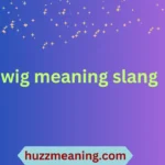 wig meaning slang