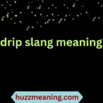 drip slang meaning