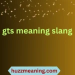 gts meaning slang