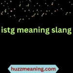 istg meaning slang