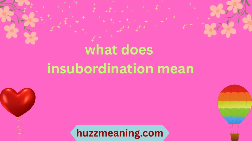 what does insubordination mean