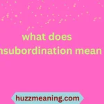 what does insubordination mean