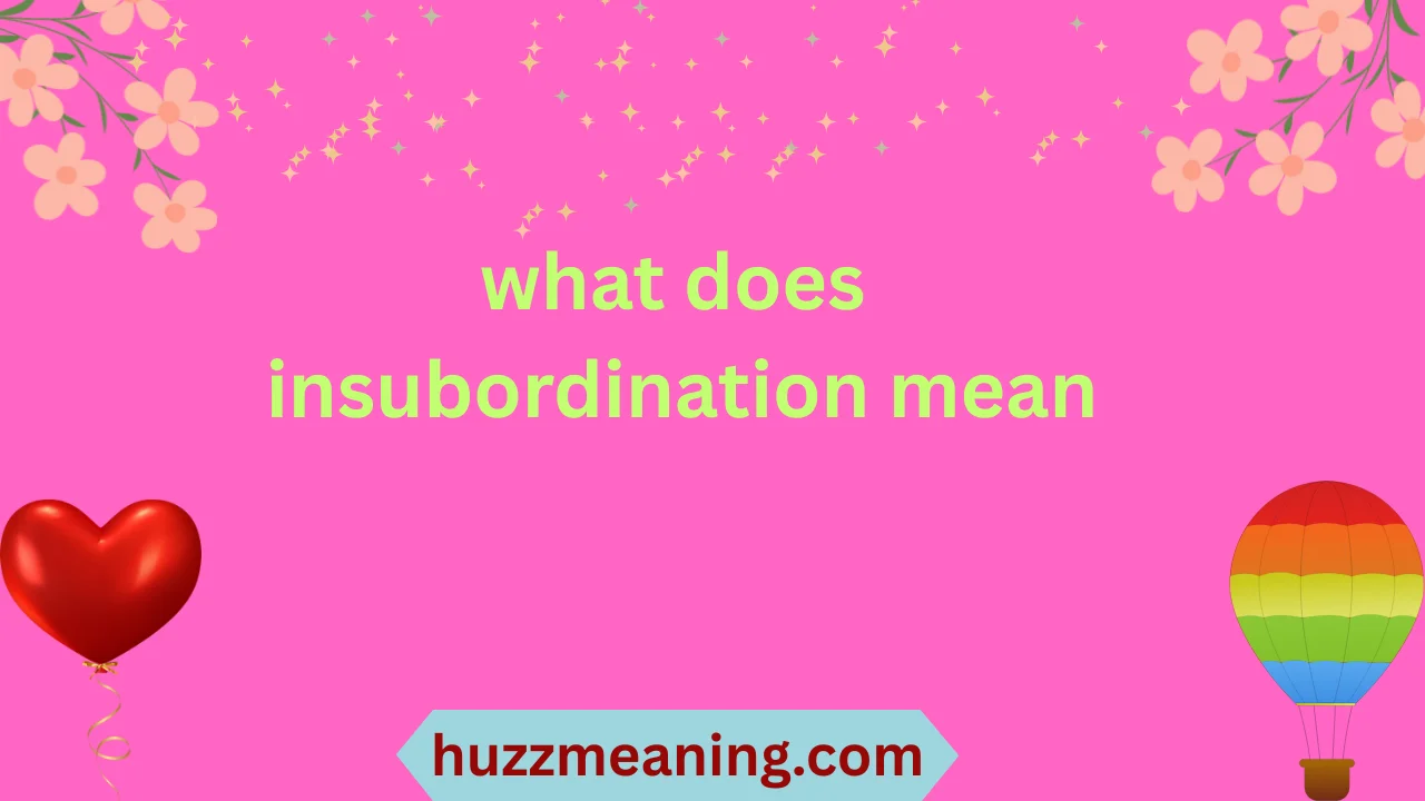 what does insubordination mean