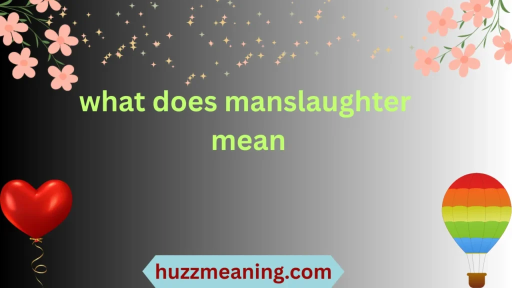 what does manslaughter mean