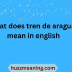 what does tren de aragua mean in english