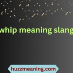 whip meaning slang